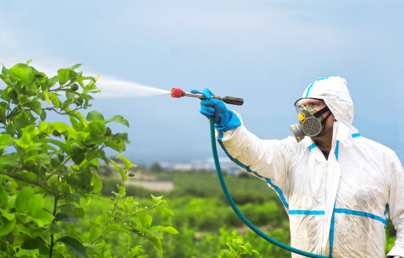 Fumigation Service in Asheville, NC