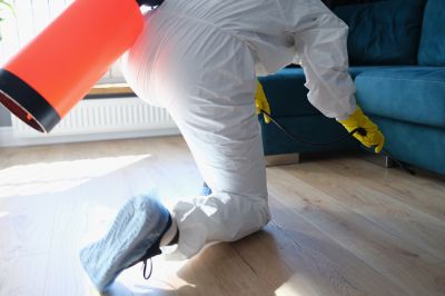 Spider Fumigation Service in Kalamazoo, MI